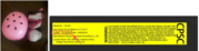 5Color Recalls Children’s Bicycle Helmet and Pads Sets