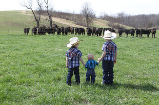 Kids and cattle