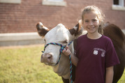 Girl with Show Steer
