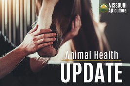 Animal Health Update