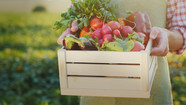 Produce Box