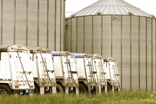Grain Bins with Trucks in Front