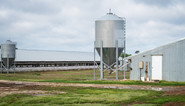 farm