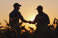 aa