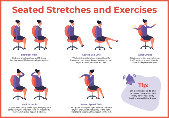 Seated Stretches and Exercises