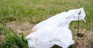 Plastic bag litter