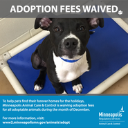 Dog with caption saying adoption fees waived Dec. 2020