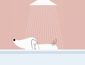 animation of dog in tub