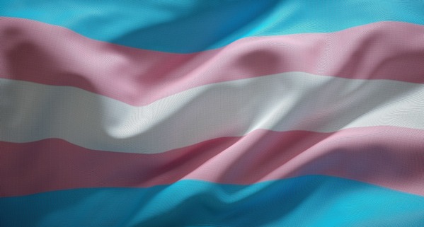 Trans pride flag