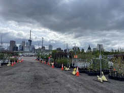 City Trees Distribution Photo 