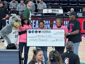A Mother's Love Initiative receiving $15,000 grant from Fast Break Foundation and the Timberwolves
