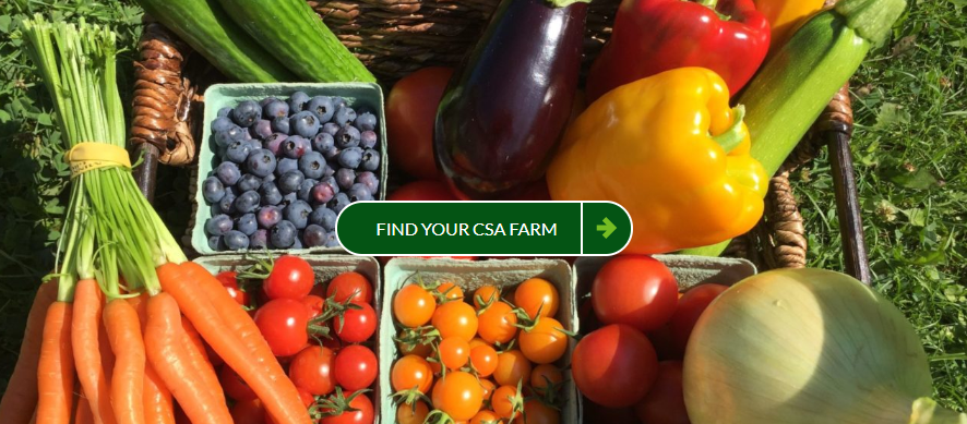 image of produce with a textbox overlayed that says "find your CSA farm"