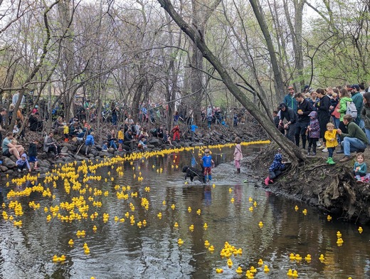 Duck Race