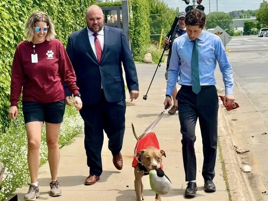 Fido Field Trip Program