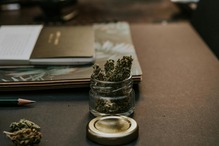 Image of cannabis in a jar on a business desk