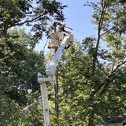 outage restoration - Xcel