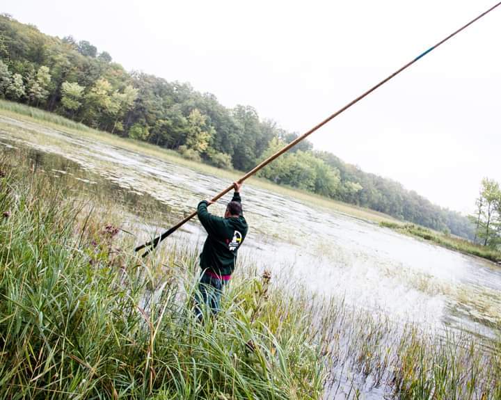 Man harvesting wild rice in water