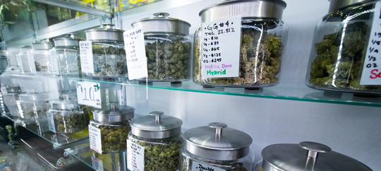 glass jars full of dried cannabis, with hand-written lebels, lined up on shelves