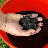 Biochar