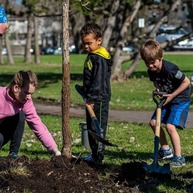 Arbor Day Tree Planting