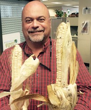 Jim Doten holding corn