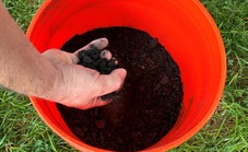 Biochar in bucket