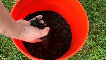 biochar