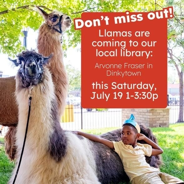 Poster for llamas at the library event. 