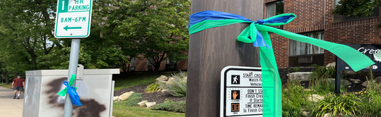 Blue land green ribbons tied to street poles in the South Minneapolis area