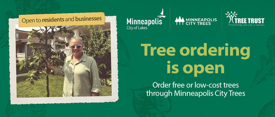 Person standing next to tree, Tree ordering is open. Order free or low-cost trees through Minneapolis City Trees.