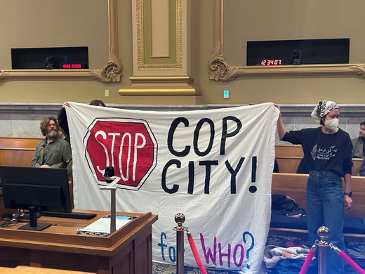 Protesters in the council chamber
