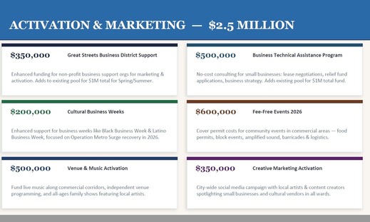 CPED Small Business Plan Summary