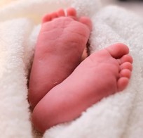 A quick blood sample tests for more than 40 disorders