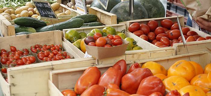 Fresh produce abounds in Mississippi