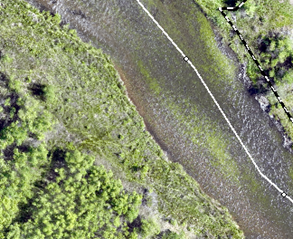 An aerial view of a vegetative area being preserved