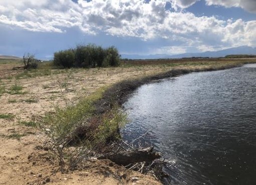 An example of a log structure streambank treatment recently completed in a previous phase of the Clark Fork project