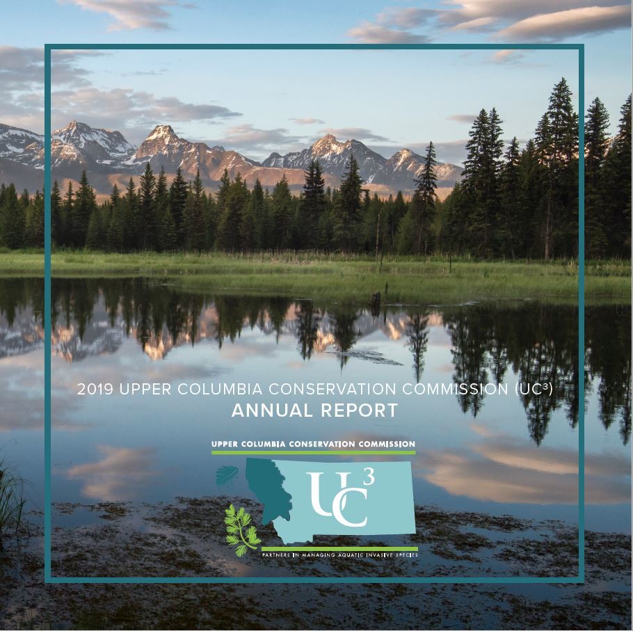 UC3 2019 Annual Report