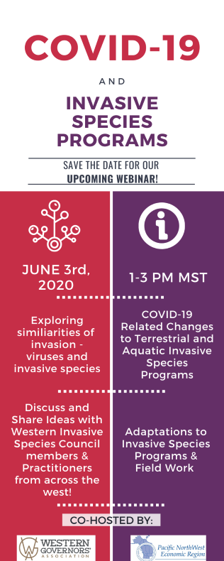 covid webinar