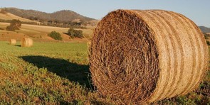 roundbale