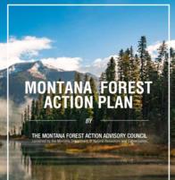 Montana Forest Action Plan 