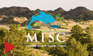 All Taxa Video Button