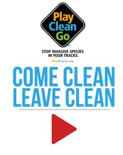 play clean go button