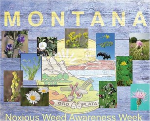 MT Noxious Weed Awareness Week