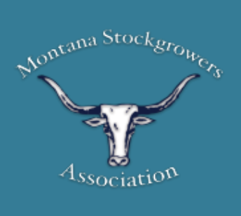 MSGA