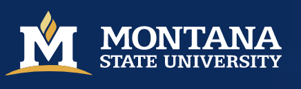 msu logo