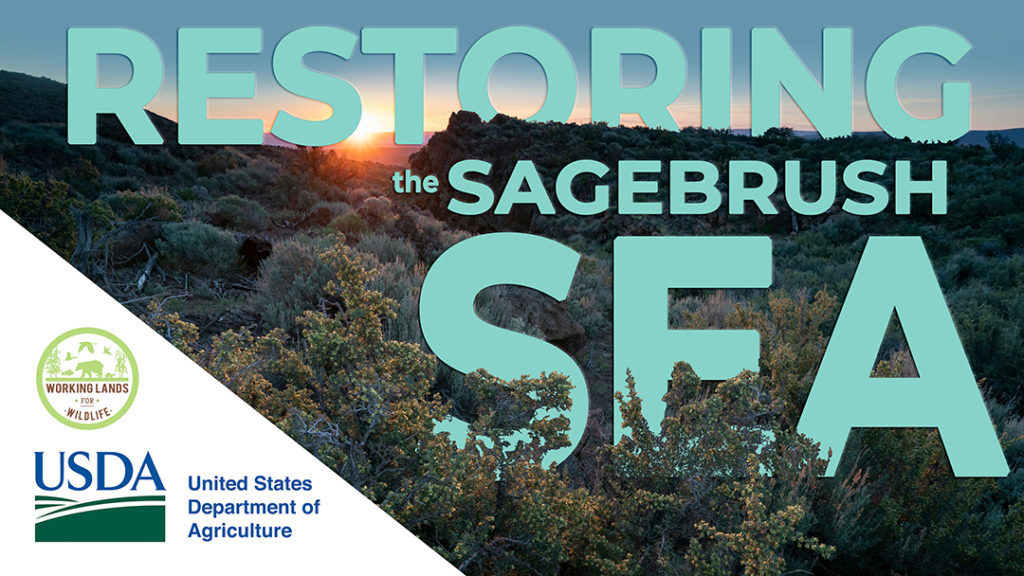 USDA Restoring the Sagebrush Sea