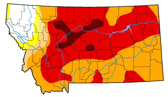 Montana Drought Monitor