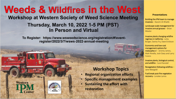 Weeds & Wildfires in the West