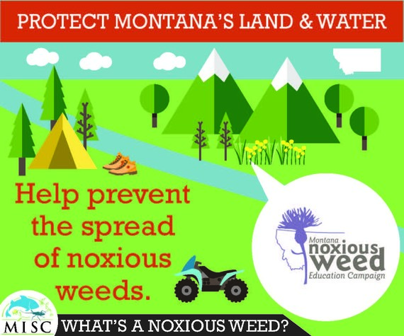 NISAW noxious weeds