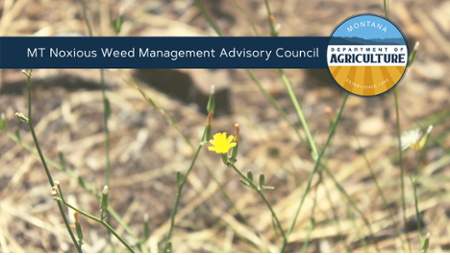 MT Noxious Weed Management Advisory Council